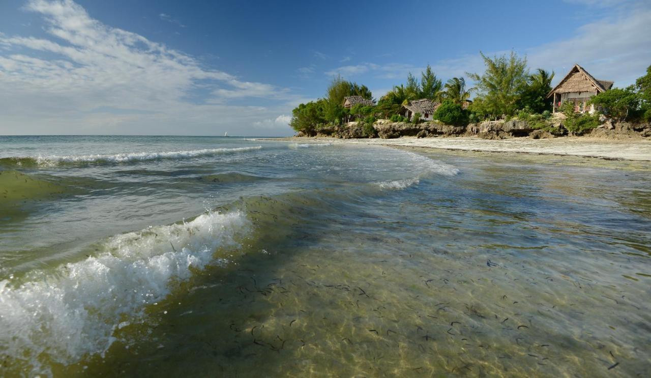 Afya Village At The Sea Michamvi المظهر الخارجي الصورة