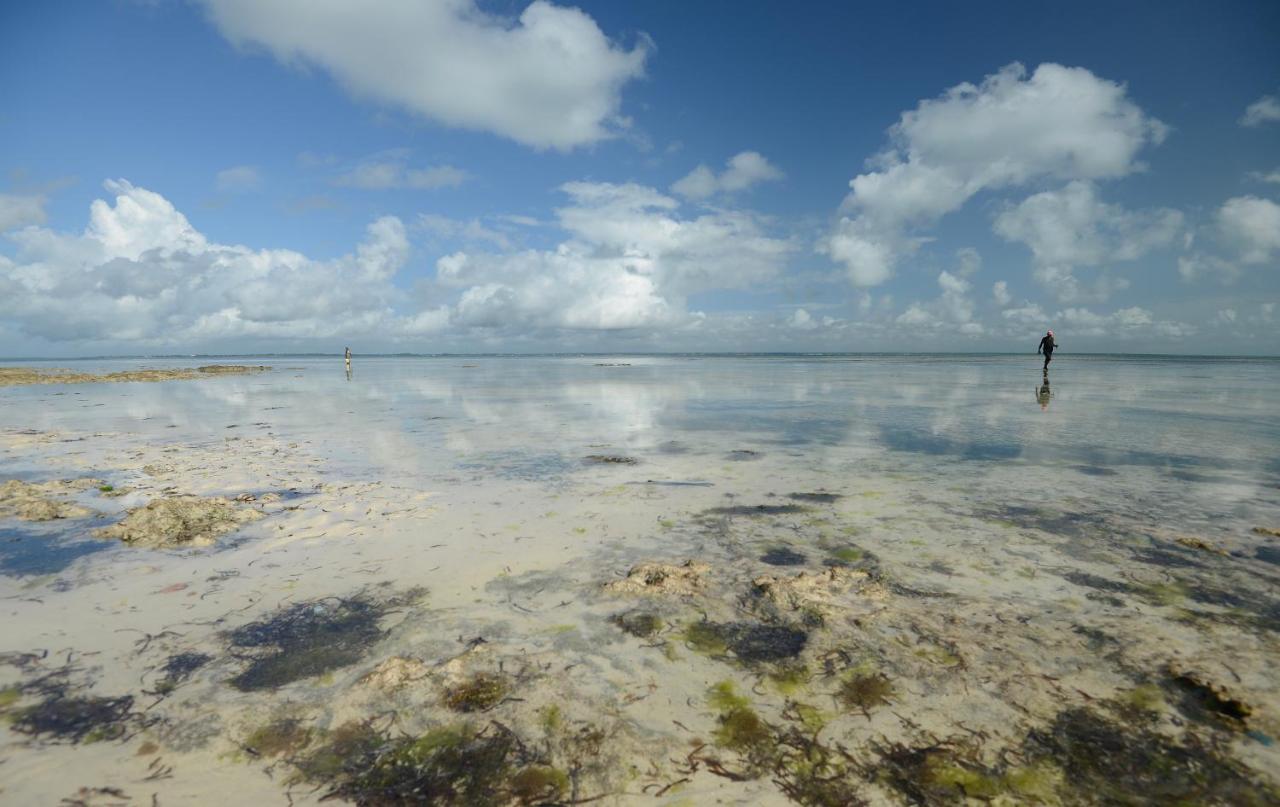 Afya Village At The Sea Michamvi المظهر الخارجي الصورة